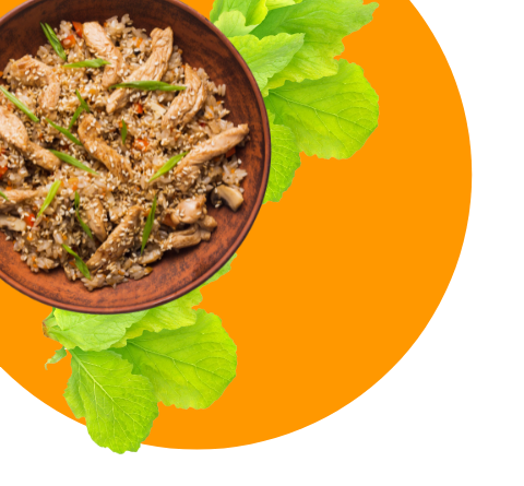 dish (7)